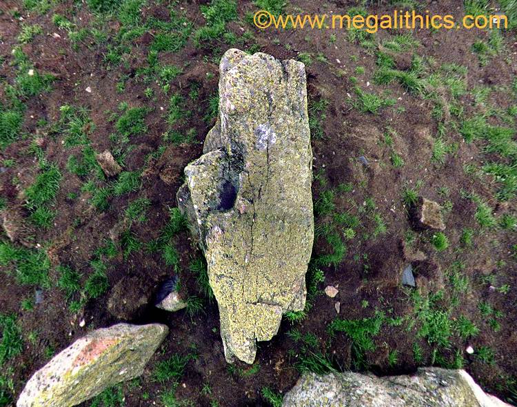 Tomnaverie recumbent stone circle - 1999