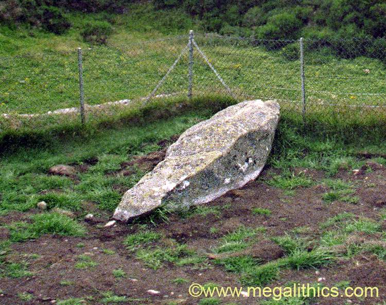 Tomnaverie recumbent stone circle - 1999