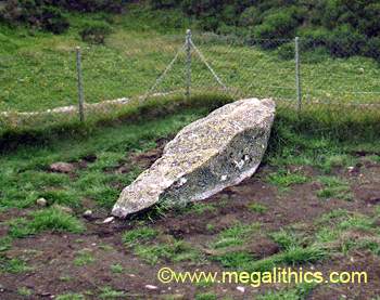 Tomnaverie recumbent stone circle western flanker - 1999